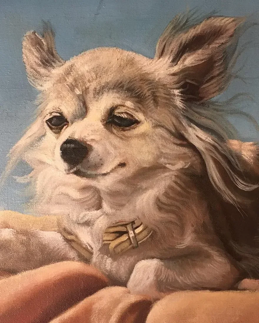 Chihuahua